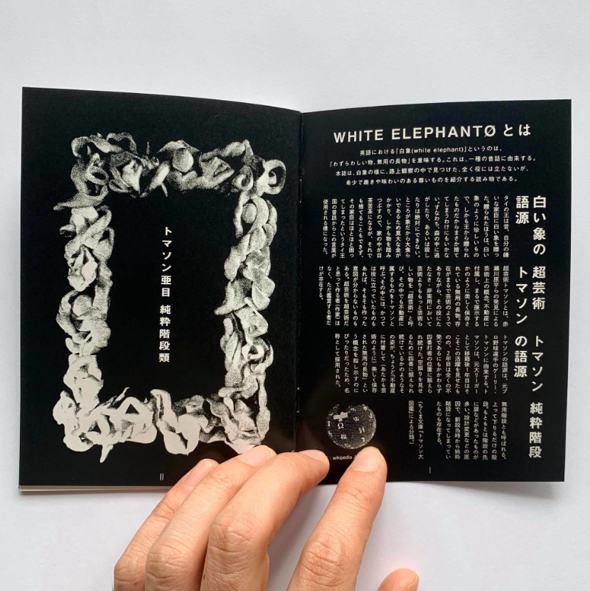 WHITE ELEPHANTØ　創刊号　『トマソン亜目 純粋階段類』